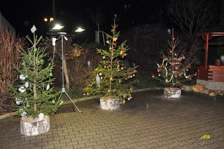 Zdobení vánočních stromků žáky ZŠ 2015